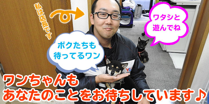 読売センター都立大前自由ヶ丘