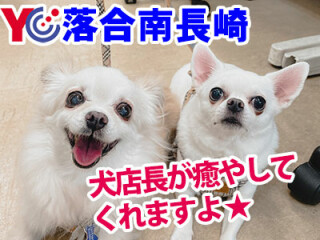 読売センター落合南長崎・江古田 求人情報